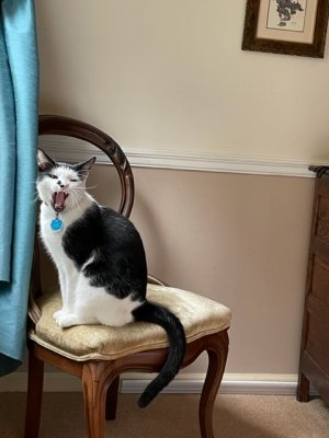 IMG_0781.jpeg