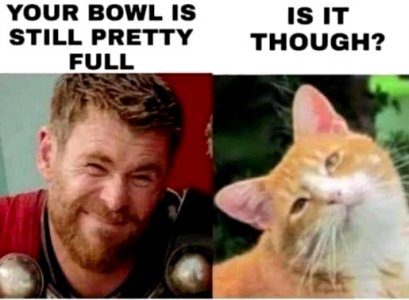 4.jpeg