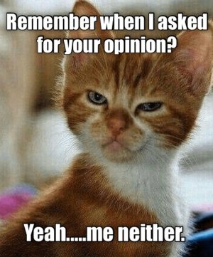 youropinion.jpg