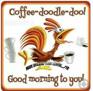 good morning cock..jpg