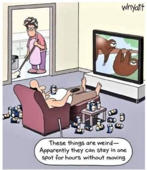 beer.JPG