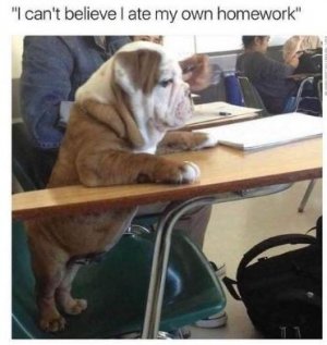 homr.JPG