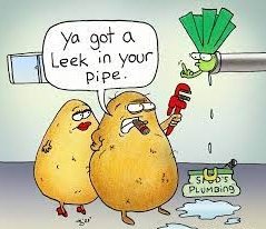 leek.jpg