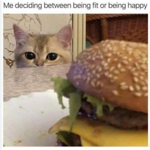 ham.JPG