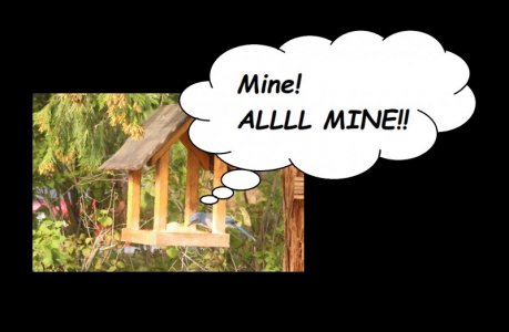 mine all mine.jpg