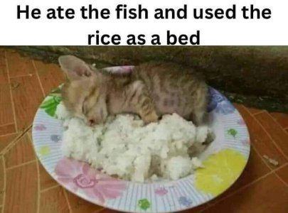 FB_IMG_1695962407533.jpg