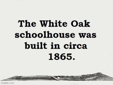 white oak.gif