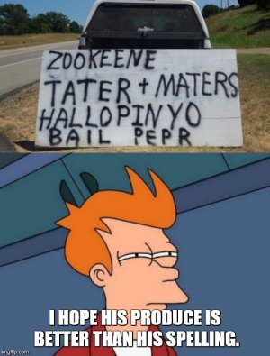 2ze2jq.jpg