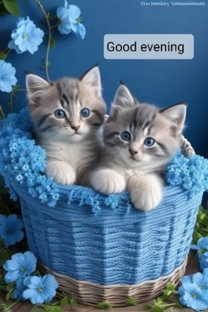 FB_IMG_1696033696167.jpg