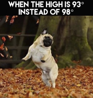 Fall2.jpg