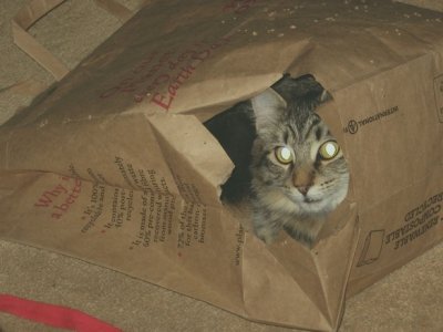 Smitty Bag.jpg