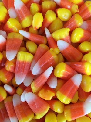 corn.jpg