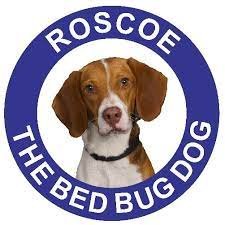 Roscoe's Five Point Rat Control Plan For NYC | Business Wire