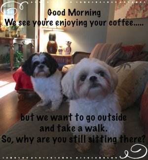 591C89C7-7B6F-4B38-B043-3E8A47F0E6D7.jpeg
