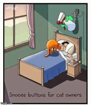 snoop.gif