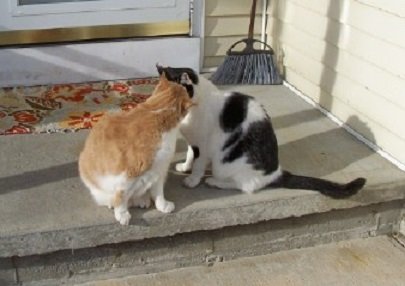 Bernie & Wesley.jpg Bernie & Wesley.jpg