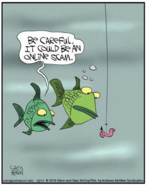 fish.JPG