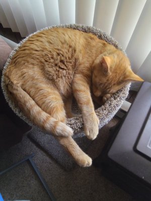 20230708_120939.jpg 20230708_120939.jpg