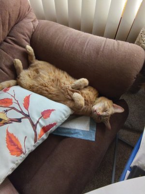 20230519_153350.jpg 20230519_153350.jpg