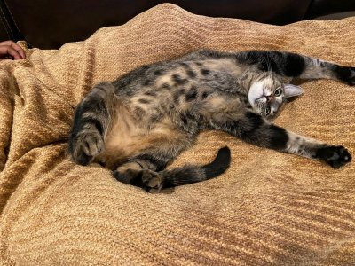 Andy Relaxed.jpg Andy Relaxed.jpg