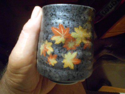 DSCN0181.JPG