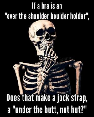 FB_IMG_1696145020251.jpg