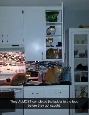 IMG_4796.jpeg