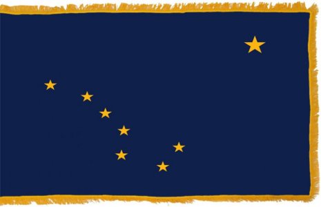 100123flag1.jpg