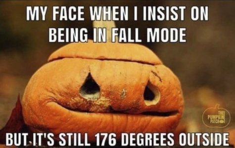 fall1.jpg