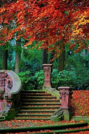 slow autumn.jpg