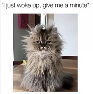 wake.JPG
