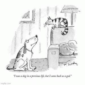 snoop.gif