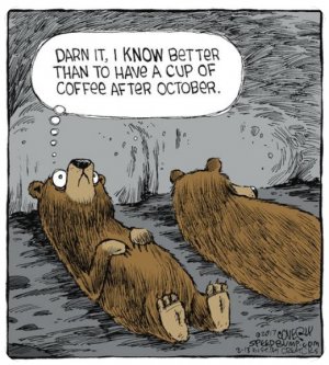 hibernation.jpg