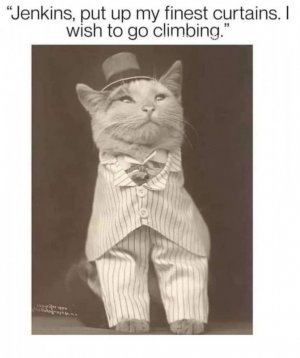 climbing.jpg