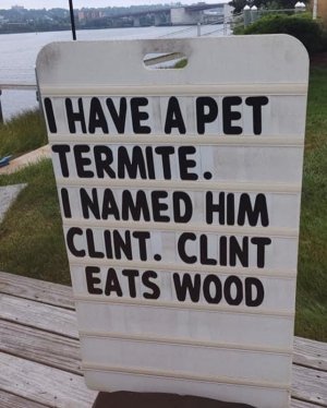 termite.jpg