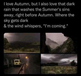 autumn rain.jpg