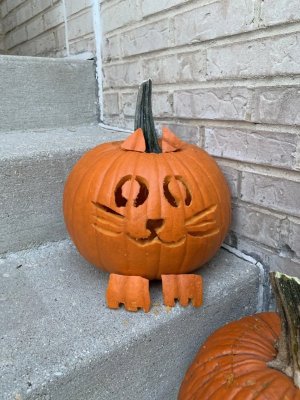 ezgif.com-gif-maker.jpg