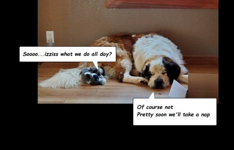 rolo and Rhonda 2.jpg