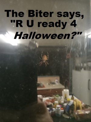bider.jpg