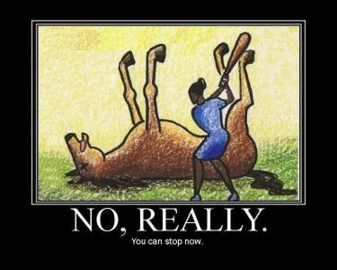 horse.jpg