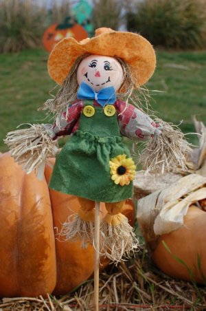 scarecrow-379902_1280.jpg