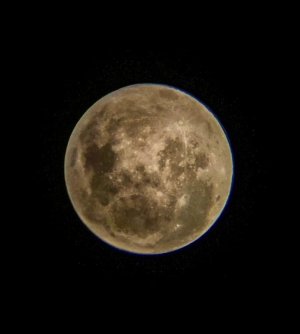 Goose's Moon.jpg