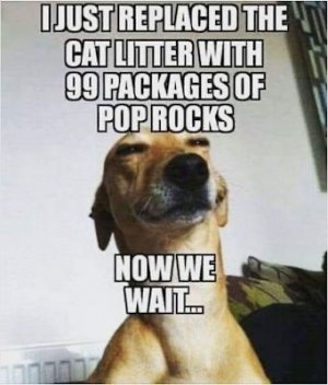 3C410401-2C5B-4285-B512-309834A5BA30.jpeg