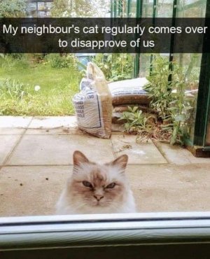 IMG_4818.jpeg