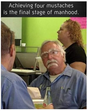 swe.JPG