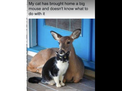 IMG_4836.jpeg