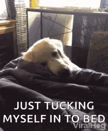 A860EEFA-3A72-4439-9EFD-2FE1DD97D39D.gif