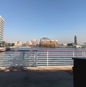20231004_115500.jpeg