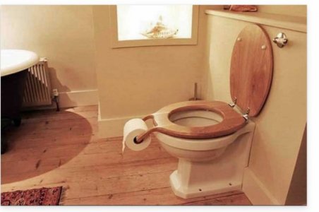 crazy toilet.jpg crazy toilet.jpg