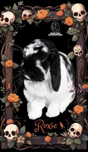 bunny.jpg